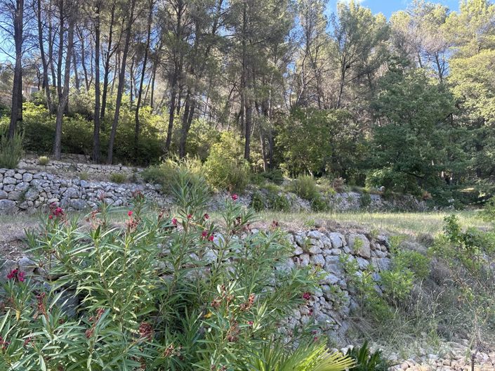 Image No.5-6 Bed House for sale