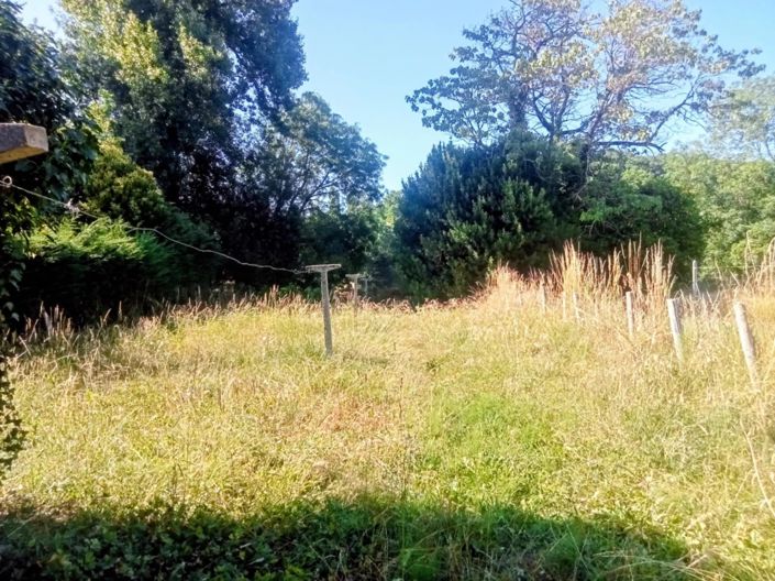 Image No.3-5 Bed House for sale