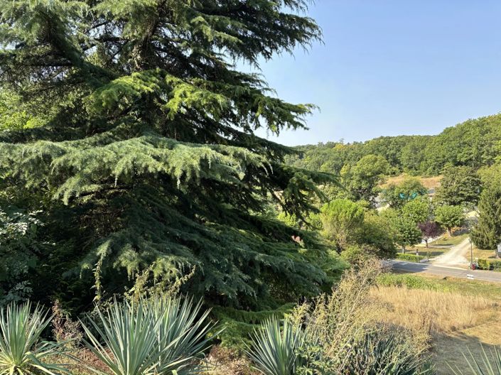 Image No.7-Village House for sale