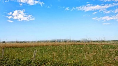 0799dd3113c9d3006d580f4eda9768c7c0bb9b127d192