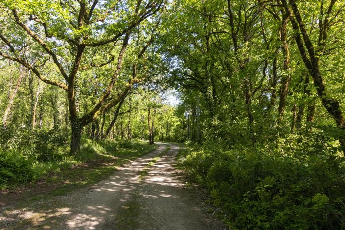 Image No.2-5 Bed House for sale