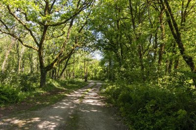 e9e2fa2d25b326a7e9e2fa9960e0bb4ce45bc72d4d192