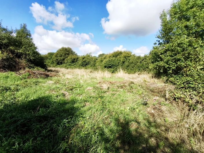 Image No.12-3 Bed House for sale