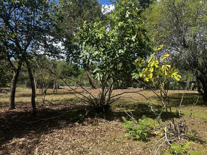 Image No.15-2 Bed Farmhouse for sale