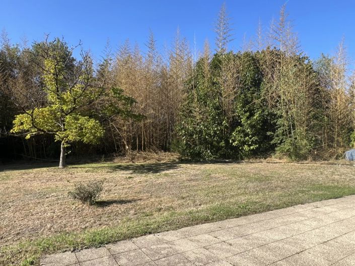 Image No.2-1 Bed House for sale