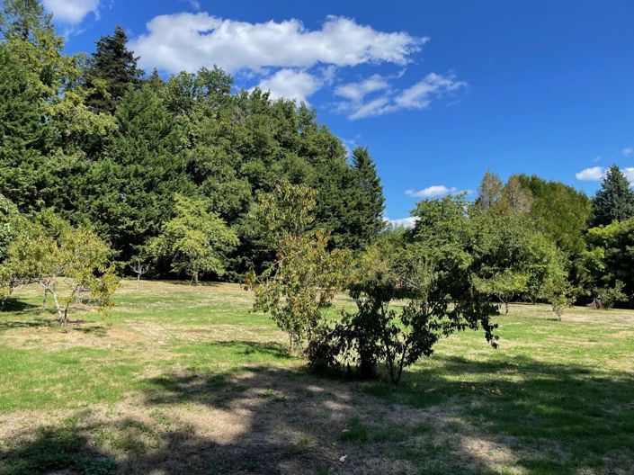 Image No.2-6 Bed House for sale