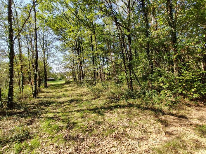 Image No.1-Property for sale