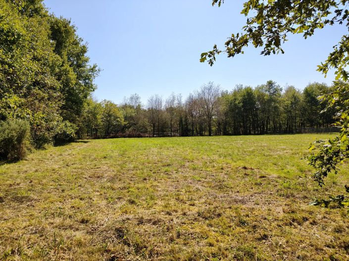 Image No.2-Property for sale