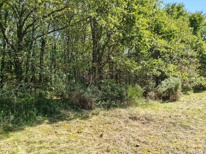 Image No.4-Property for sale