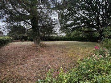 5101ea1f6f4520b6a6f28cf2c6b40cebe74d351124192