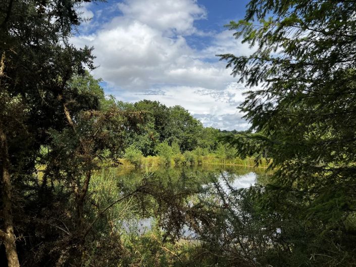 Image No.2-House for sale