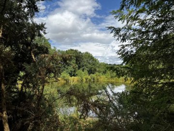 3050b8ddfecddc2bd1e9e59718e9bf8a829284dda6192