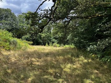 235d24ed775a2018e01e3f1c4fea21cbf92284e2b9192