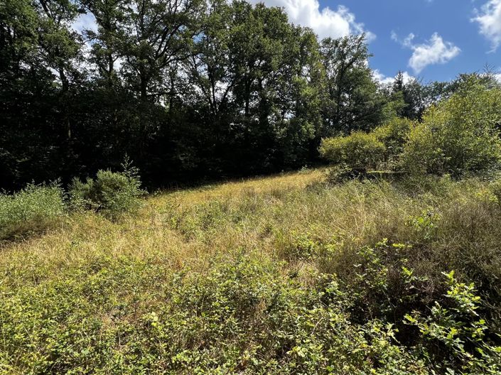 Image No.5-House for sale