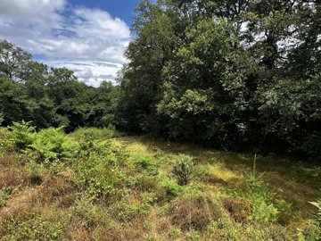 507e7214458c0af391dd26c7a44c8a6ac9dba45de5192