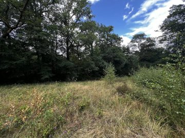 50486a662d30606f89ebb627e1d88651a4e1699f55192