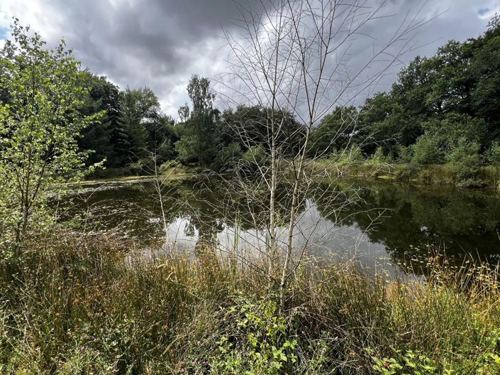 Image No.8-House for sale