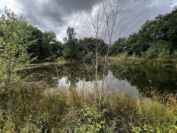 4bf697e72880ba1611708f831ba058ce9da146c9ad192