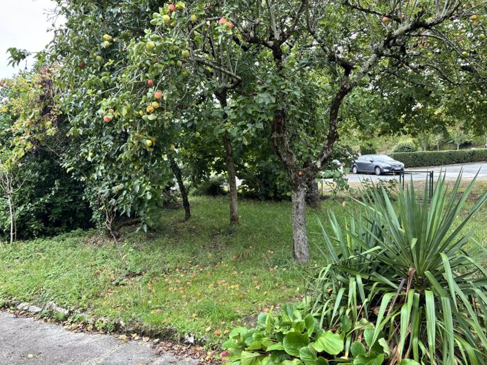 Image No.15-3 Bed Village House for sale