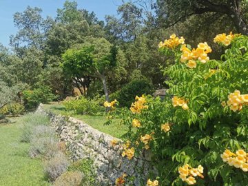 a0cf22af3f6f6c9210073f13a2f4a607e9bcfa856a182