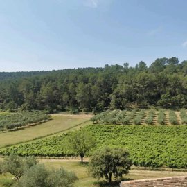 6971d315f3c9afed3161c3f4dd98ca001331c9500d144