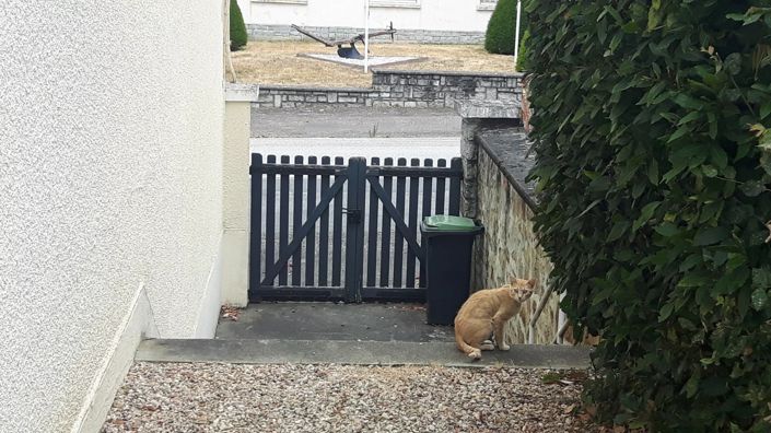 Image No.12-4 Bed House for sale