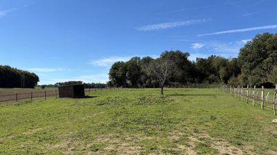 0ac0278e1e5784b84cf3c75953bced1eba9259e859192