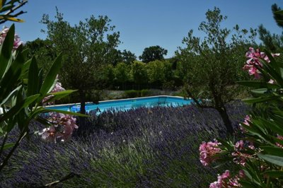 062b6b256580a6a7db132a604e5ee1a00840d5932d409