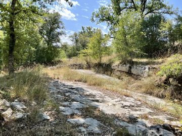 72e58800fb4109559db423103884b1fcea12e5bb24102