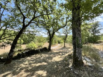 6a10e2d58160ea7390358ccc970706dad1ec1dfd09102