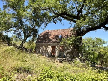 36851d3354dd960611b2c87375196738316d3a60ed102