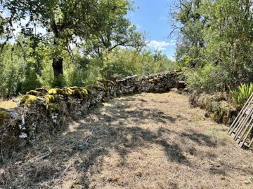 ceb0932fd6374782d8def72c35926e06f10498b5af102