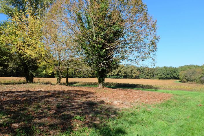 Image No.6-2 Bed House for sale