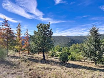 c7368c52231f2b02e81701f2f3763e282443b486d5192