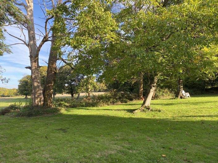 Image No.2-4 Bed House for sale