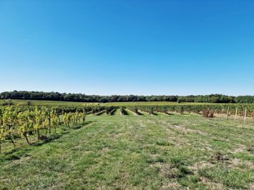 b9650af3659d6c20ea2135feb701208d2e8d7131f4400