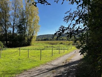 667e1d33d2c7b183d605852c296d5d859019b258a3102