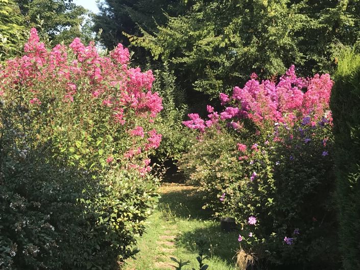 Image No.2-2 Bed House for sale