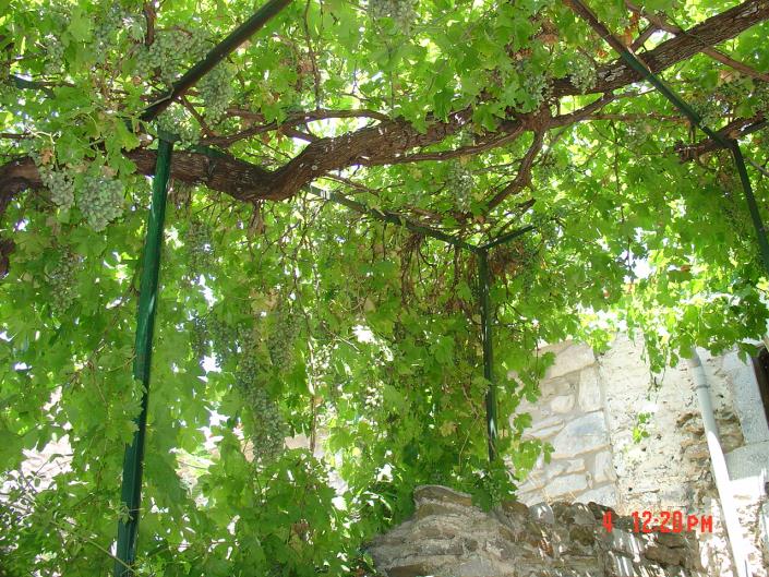 Image No.7-2 Bed Villa / Detached for sale