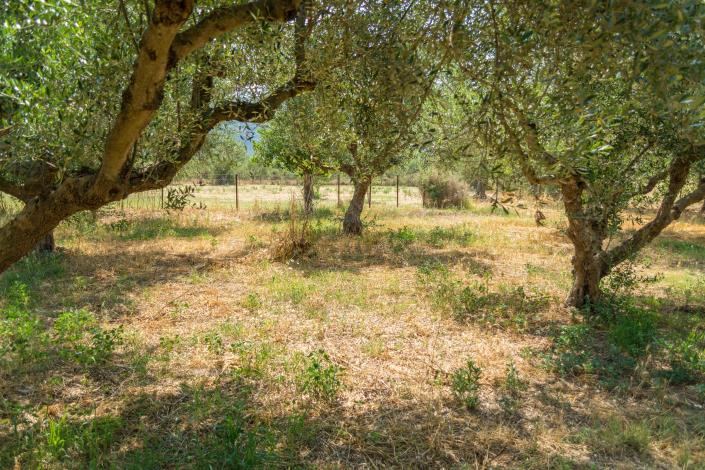 Image No.8-1 Bed Bungalow for sale