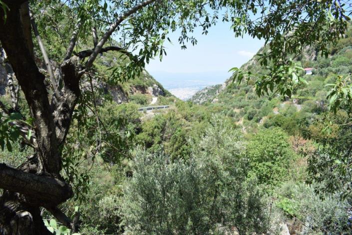 Image No.2-Village House for sale