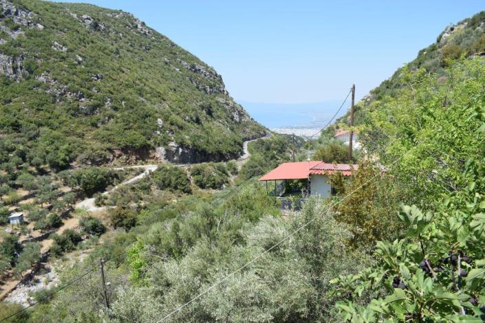 Image No.3-Village House for sale