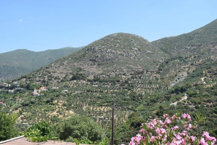 Image No.15-Village House for sale