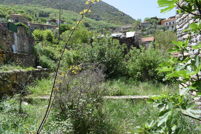 Image No.7-Village House for sale