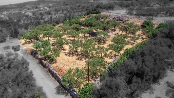 Image No.12-Plot for sale