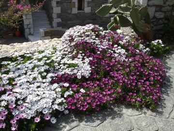 Real-Estate-961--15-