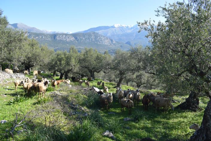 Image No.10-2 Bed Country House for sale