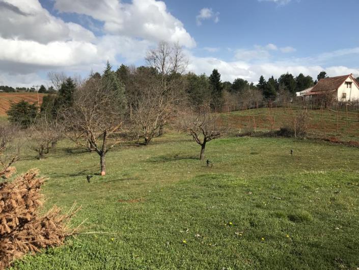 Image No.6-4 Bed Villa for sale