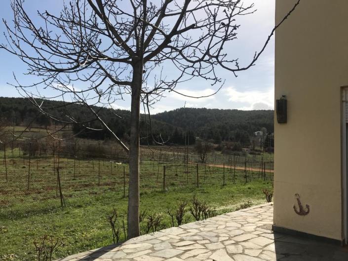 Image No.7-4 Bed Villa for sale