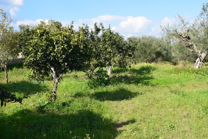 Image No.17-3 Bed Bungalow for sale